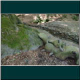 P1000656DSC_0377WhatsApp Image 2024-06-11 at 09.48.08.jpg